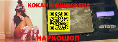 крисы Кулебаки