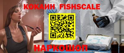 крисы Кулебаки