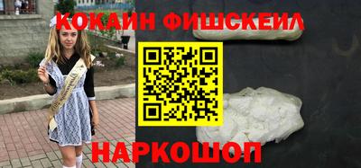 крисы Кулебаки