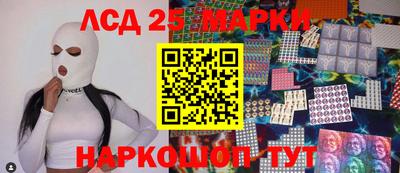 крисы Кулебаки