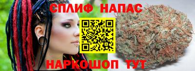 крисы Кулебаки