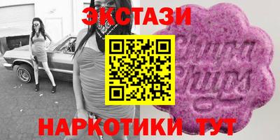крисы Кулебаки