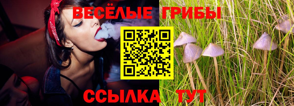 Псилоцибиновые грибы Magic Shrooms  Вход с VPN  дарнет шоп  Псилоцибиновые грибы прущие грибы  Каменск-Шахтинский 