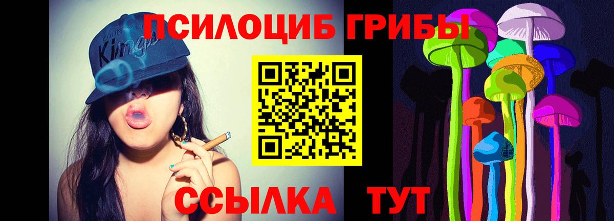 Галлюциногенные грибы Psilocybine cubensis Каменск-Шахтинский